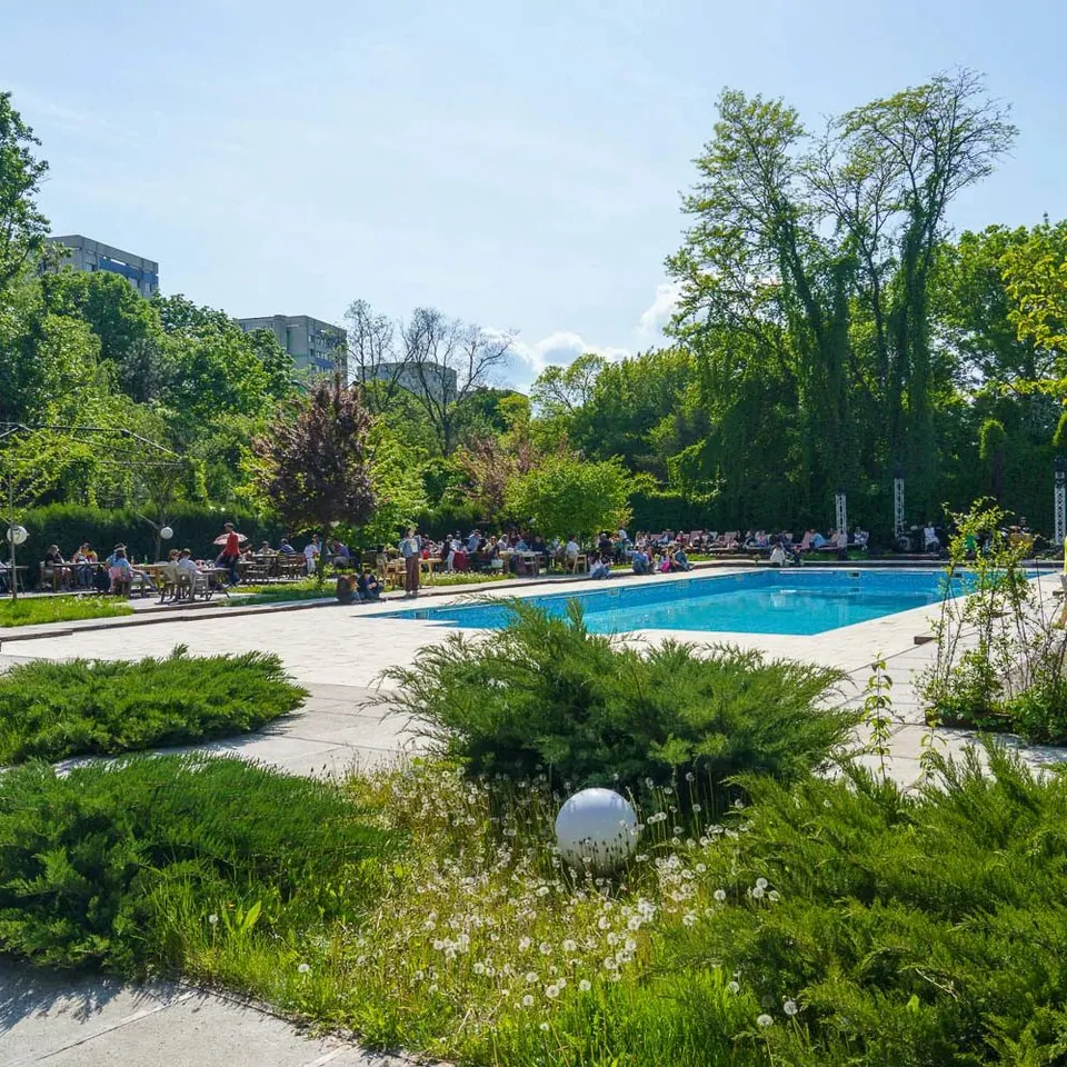 Piscina și grădina ziua, cu vegetație bogată